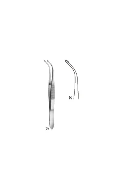 Arruga Forceps