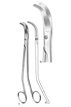 Bozemann Scissors