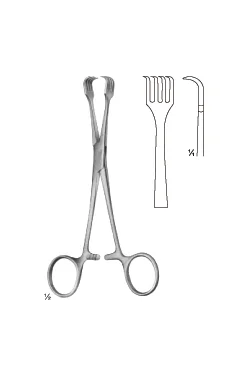 Braun Forceps