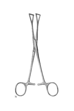 Collin Forceps 2