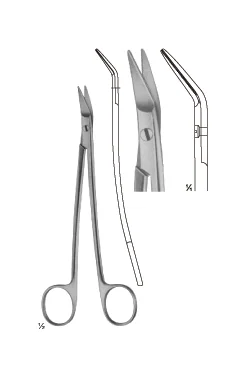 Dean Scissors