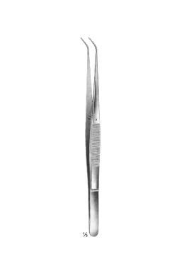 Delicate Dissecting Forceps 1