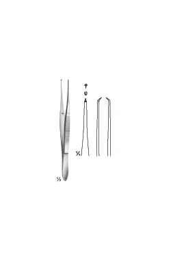 Elsching Forceps