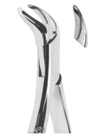 Extracting Forceps American Pattern
