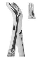 Extracting Forceps American Pattern