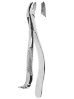 Extracting Forceps American Pattern