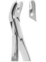 Extracting Forceps American Pattern
