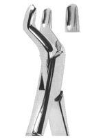 Extracting Forceps American Pattern