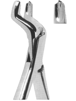 Extracting Forceps American Pattern