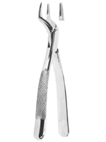 Extracting Forceps American Pattern