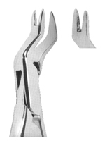 Extracting Forceps American Pattern