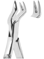 Extracting Forceps American Pattern