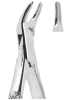 Extracting Forceps American Pattern