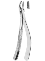 Extracting Forceps American Pattern