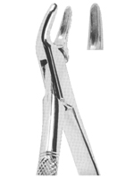 Extracting Forceps American Pattern