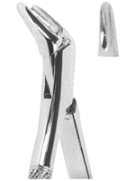 Extracting Forceps American Pattern