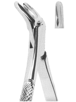 Extracting Forceps American Pattern