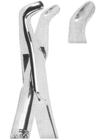 Extracting Forceps American Pattern