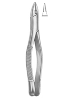 Extracting Forceps American Pattern