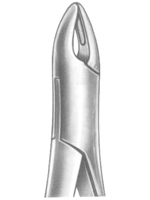 Extracting Forceps American Pattern