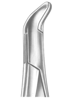 Extracting Forceps American Pattern