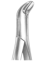 Extracting Forceps American Pattern