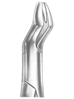 Extracting Forceps American Pattern