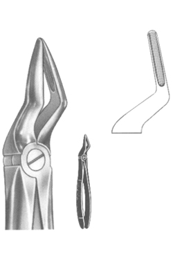 Extracting Forceps English Pattern