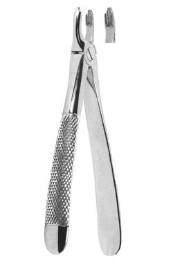 Extracting Forceps English Pattern
