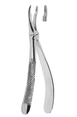 Extracting Forceps English Pattern
