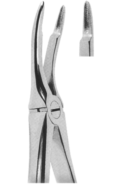 Extracting Forceps English Pattern