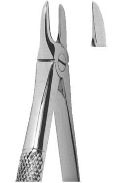 Extracting Forceps English Pattern