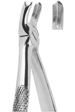 Extracting Forceps English Pattern