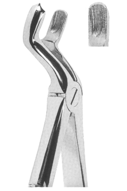 Extracting Forceps English Pattern