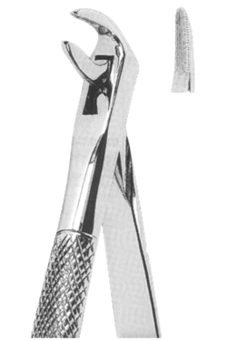 Extracting Forceps English Pattern