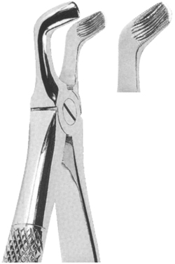 Extracting Forceps English Pattern