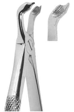 Extracting Forceps English Pattern