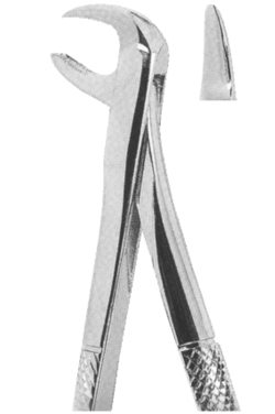Extracting Forceps English Pattern
