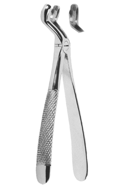 Extracting Forceps English Pattern