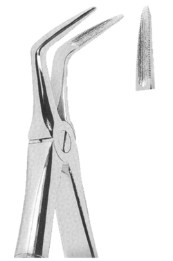 Extracting Forceps English Pattern