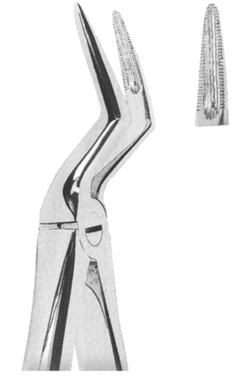 Extracting Forceps English Pattern