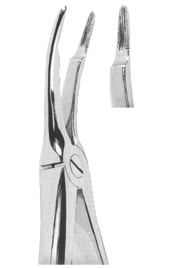 Extracting Forceps English Pattern