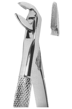 Extracting Forceps English Pattern