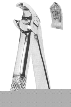 Extracting Forceps English Pattern