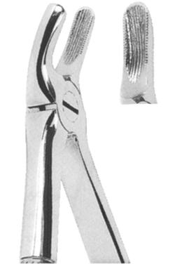 Extracting Forceps For Children - English Pattern