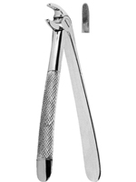 Extracting Forceps For Children - English Pattern
