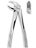 Extracting Forceps For Children - English Pattern