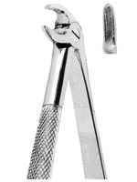 Extracting Forceps For Children - English Pattern
