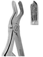 Extracting Forceps For Children - Klein Pattern