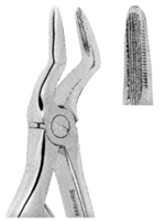 Extracting Forceps For Children - Klein Pattern